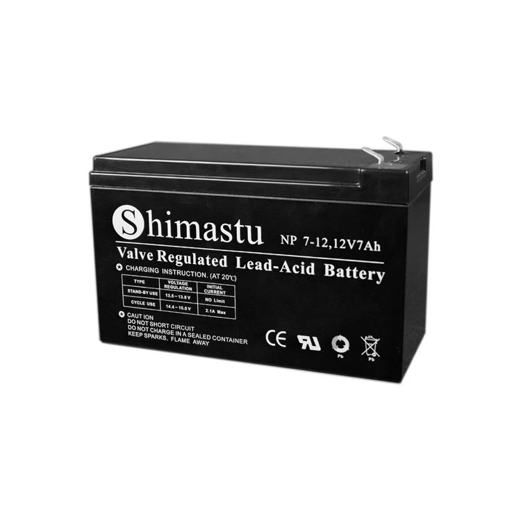 12V7Ah signalizacijos sistemos baterija